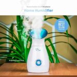 Pure Daily Care Nano-Ionic Facial Steamer & Humidifier